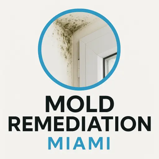 Mold Remediation Miami